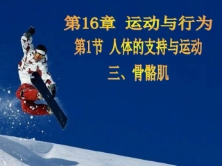苏科版初中八上人体的支持与运动-骨骼肌课件