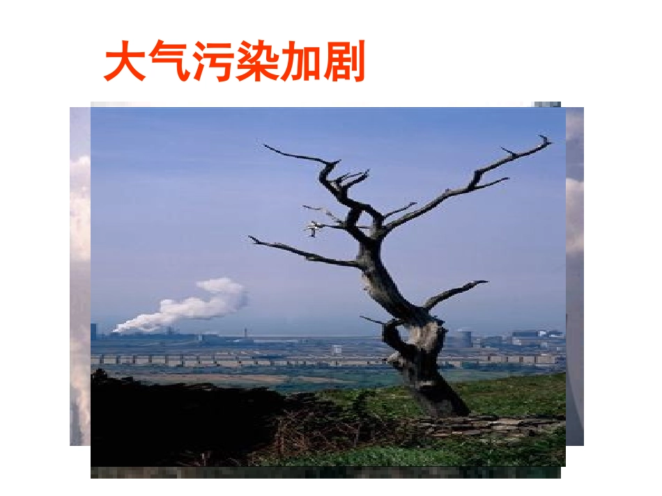 实施可持续发展战略 (2)_第2页