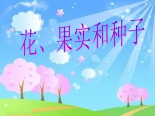 四年级花果实和种子