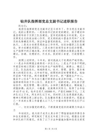 钻井队指挥部党总支副书记述职报告