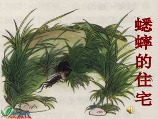 人教新课标四年级语文上册《蟋蟀的住宅》PPT课件