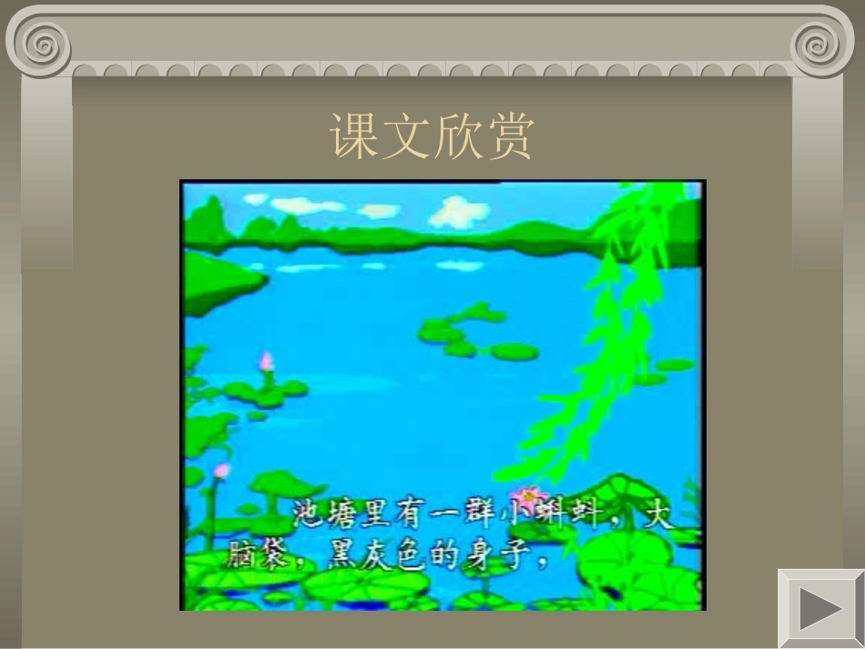 小蝌蚪找妈妈课件_第2页