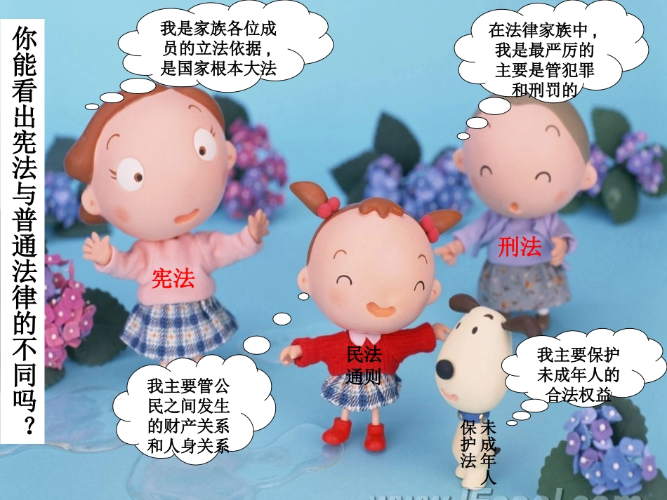 宪法是国家的根本大法_第3页