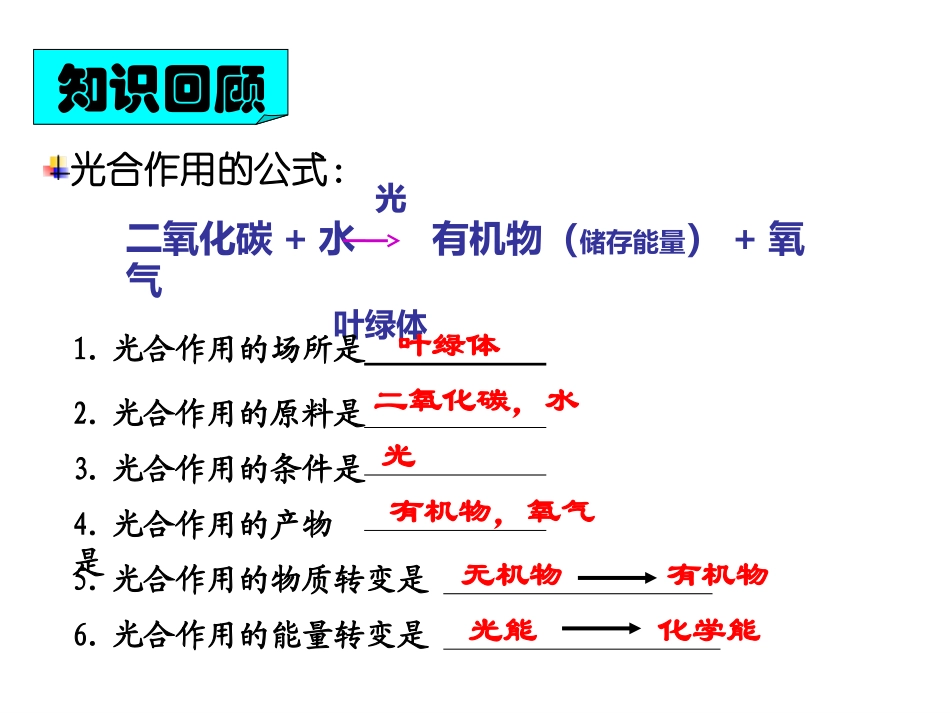 2012版_绿色植物的呼吸作用_第1页