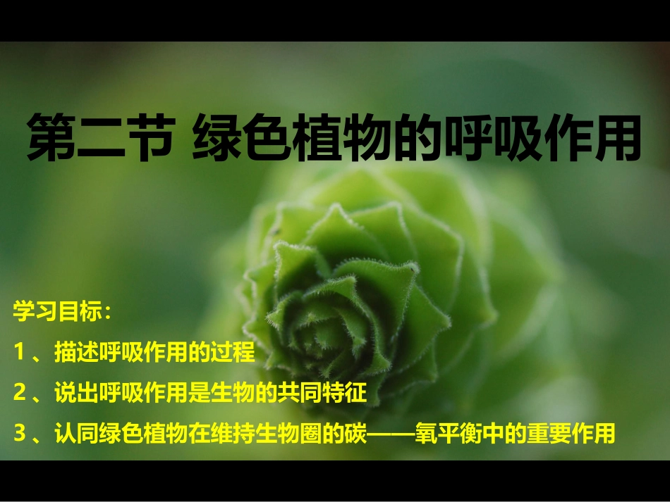 2012版_绿色植物的呼吸作用_第3页