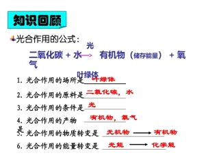 2012版_绿色植物的呼吸作用