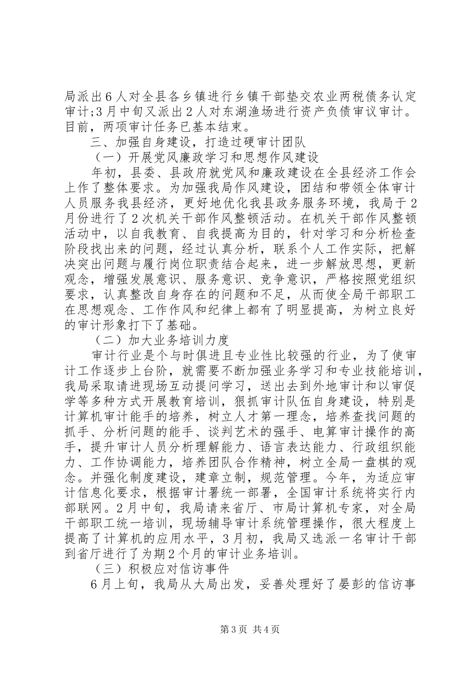 审计局上半年度工作总结 _第3页