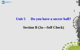 七年级英语上册Unit5Doyouhaveasoccerball？SectionB（3a—SelfCheck） (2)