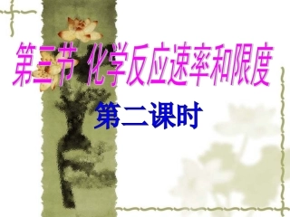 必修2化学反应速率和限度(二)