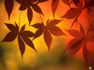 何其芳_秋天_课件