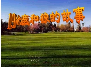 《鹿和狼的故事》课件