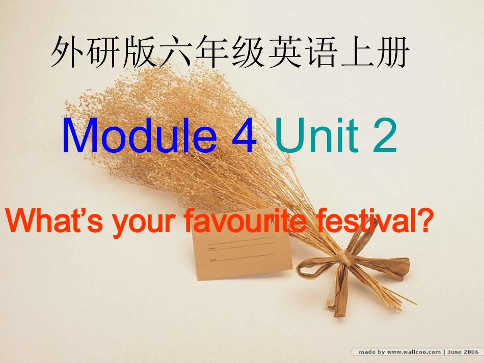 外研版第七册Module4Unit2what’syourfavouritefestival？课件_第2页