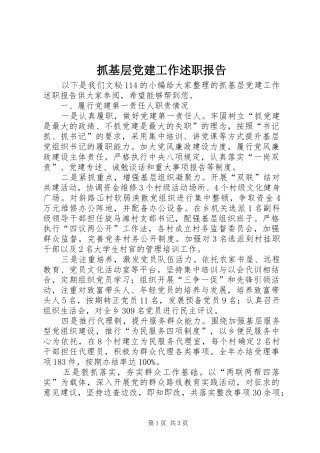 抓基层党建工作述职报告 (29)