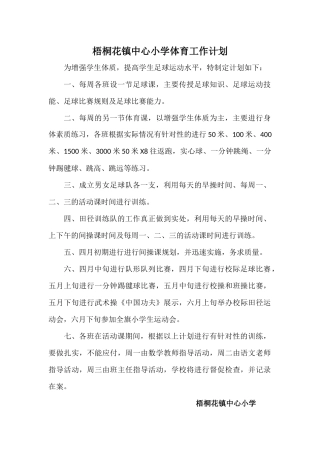 梧桐花镇中心小学体育工作计划20153