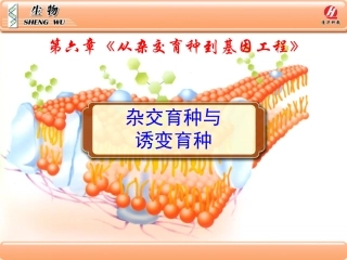 生物②必修61《杂交育种与诱变育种》PPT课件