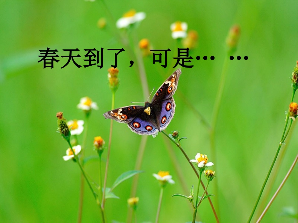 永生的眼睛 (3)_第2页