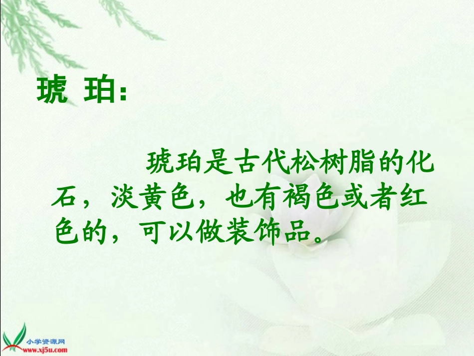 北师大版六年级语文下册《琥珀1》PPT课件_第2页