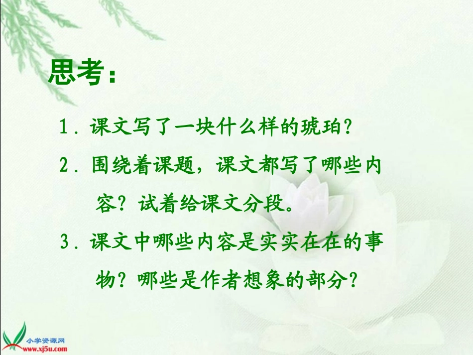 北师大版六年级语文下册《琥珀1》PPT课件_第3页