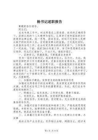 杨书记述职报告