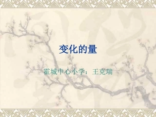 六年级数学变化的量