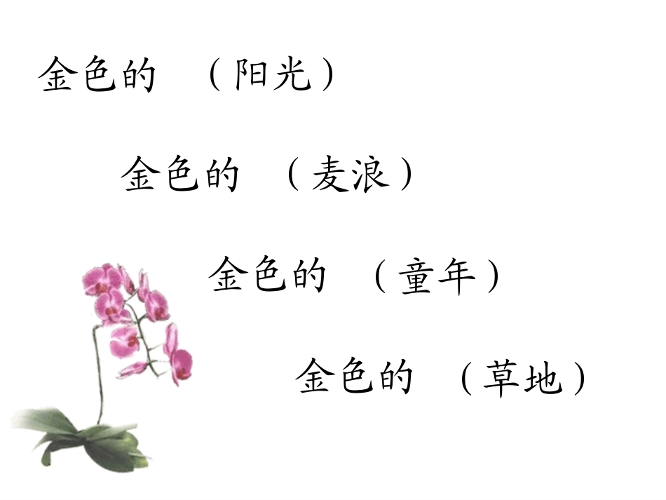 人教版_三年级上_2金色的草地_第2页