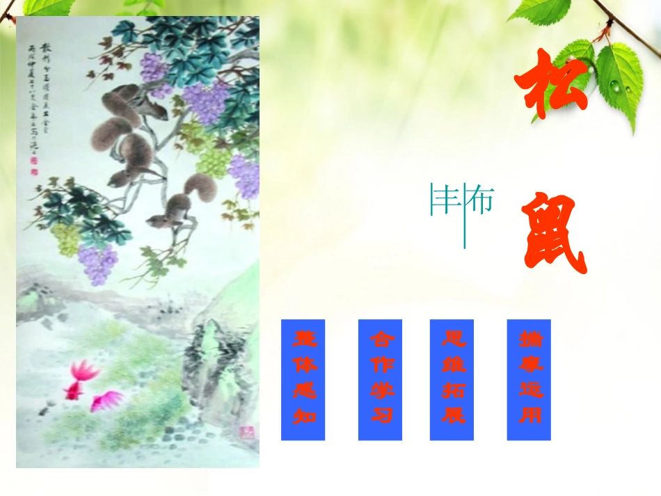 五年级上册《松鼠》课件[1]_第3页