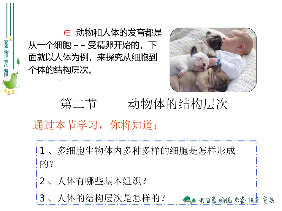 最新人教版222动物体的结构层次_第2页