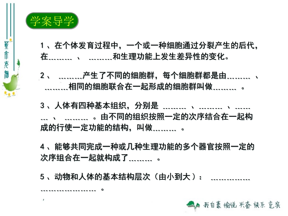 最新人教版222动物体的结构层次_第3页
