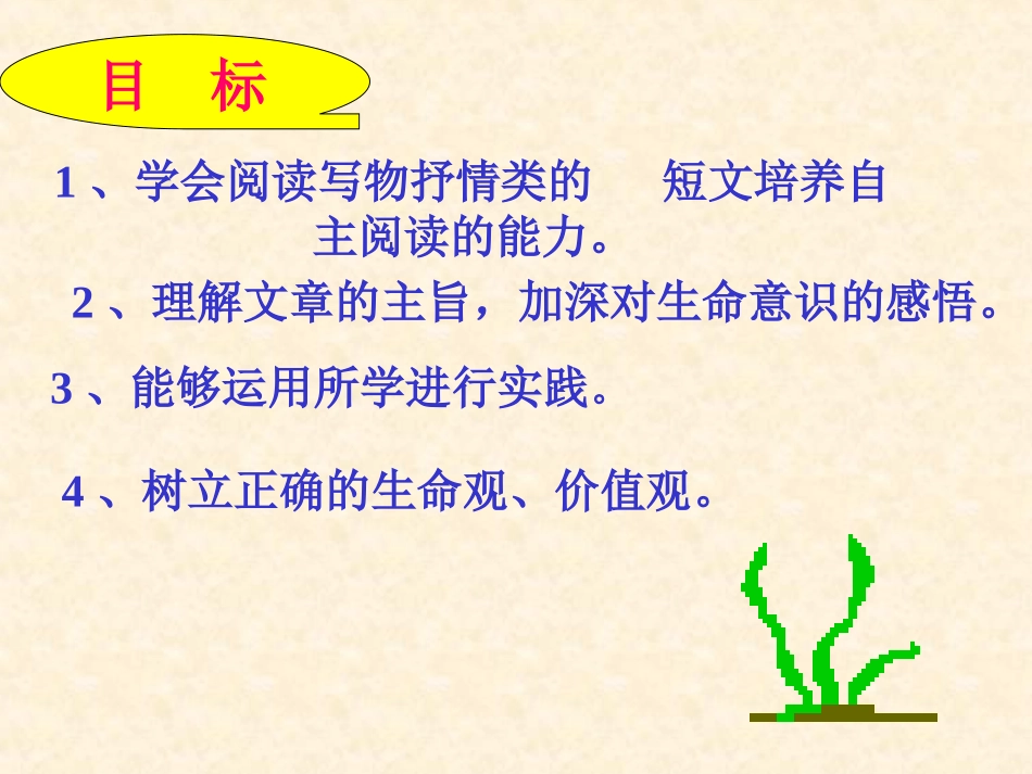 敬畏生命课件_第3页