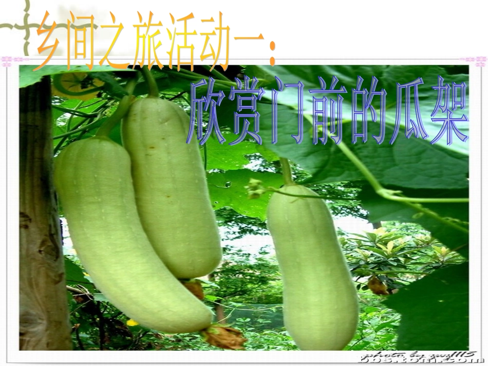 乡下人家tome_第3页