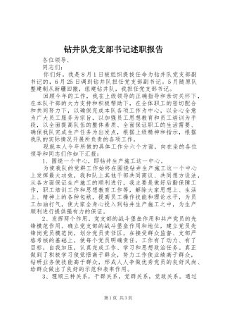 钻井队党支部书记述职报告