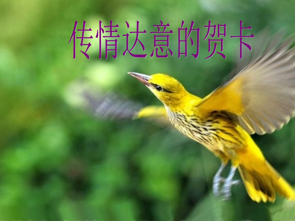 传情达意的贺卡1_第1页