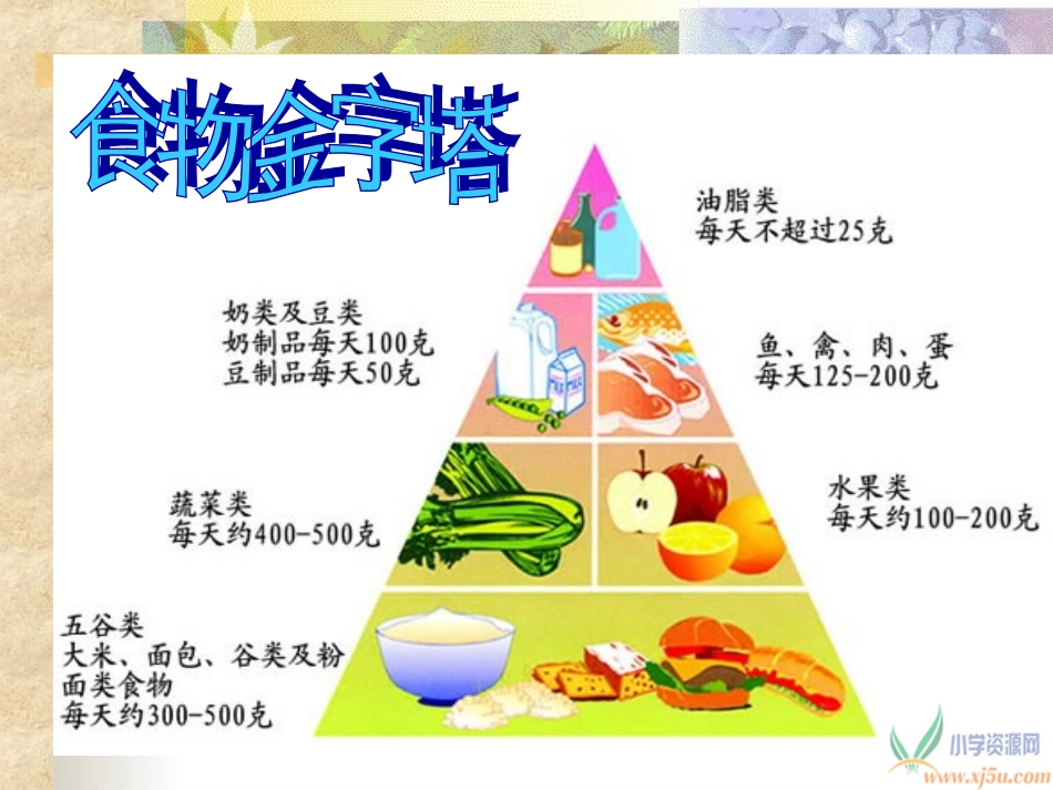 (苏教版)四年级科学上册课件_食物的消化_第2页