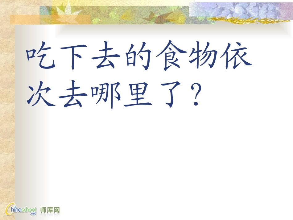 (苏教版)四年级科学上册课件_食物的消化_第3页