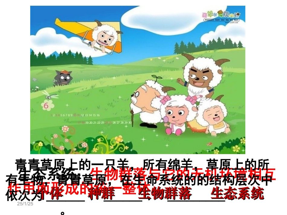 人教版必修三第五章第一节--生态系统的结构_第2页