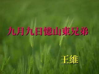 九月九日忆山东兄弟马明