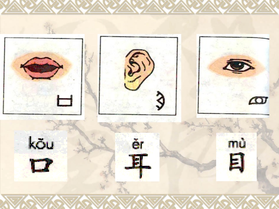 一年级上语文课件-口耳目-人教版1_第2页