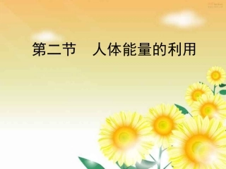 人体内能量的利用jxl