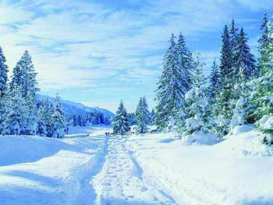 土地的誓言 (2)_第2页