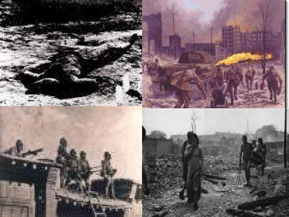 土地的誓言 (4)_第2页