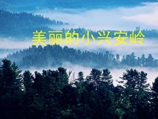 《美丽的小兴安岭》课件何红