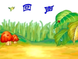 小学二年级《回声》