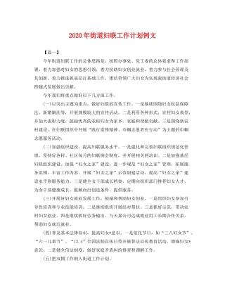 2020年街道妇联工作计划例文2