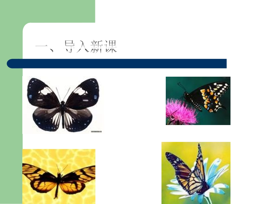 昆虫的生殖和发育(我的课件)_第1页