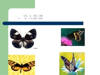 昆虫的生殖和发育(我的课件)