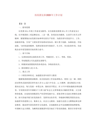 医院团支部年工作计划