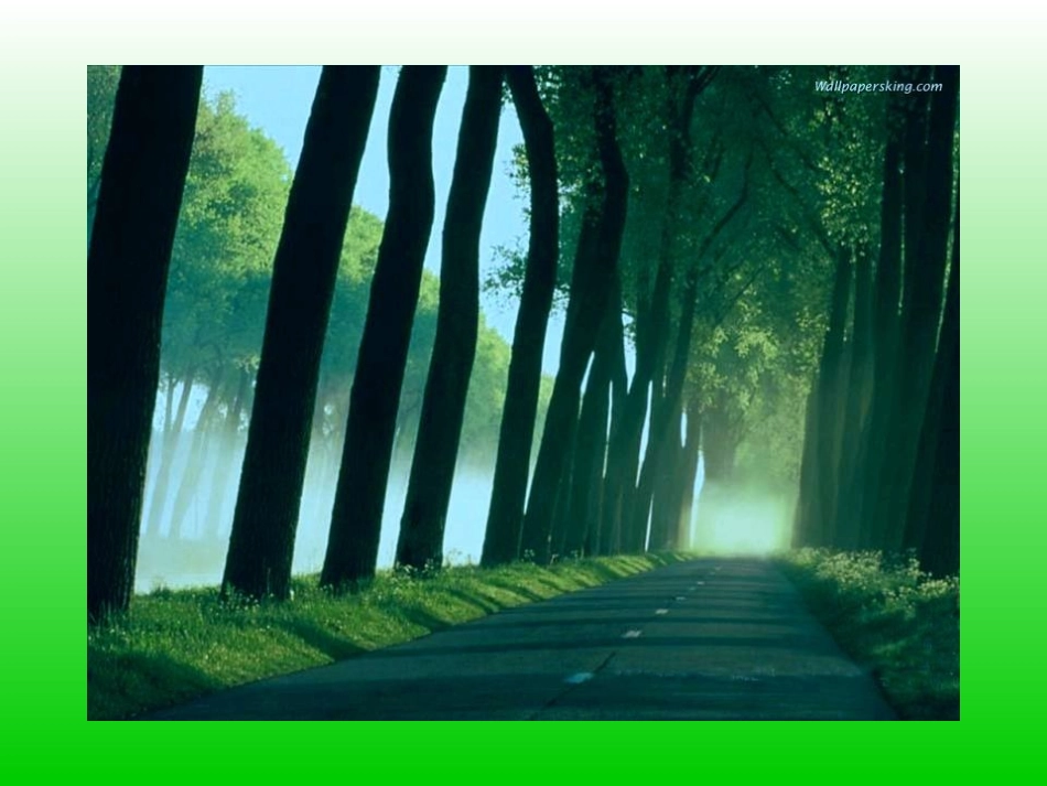 植树问题 (10)_第2页