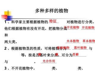 教科版小学科学六年级上册第四单元《多种多样的植物》课件