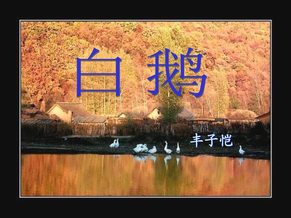 白鹅—课件289755_第3页