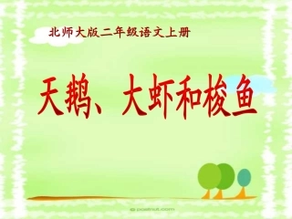 天鹅、大虾和梭鱼2PPT课件